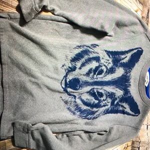 Lands End Gray Blue wolf sweatshirt